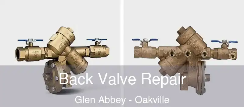 Back Valve Repair Glen Abbey - Oakville