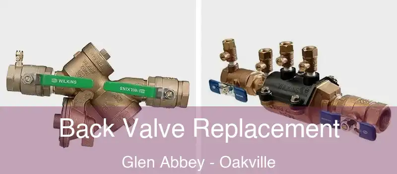  Back Valve Replacement Glen Abbey - Oakville