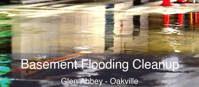  Basement Flooding Cleanup Glen Abbey - Oakville
