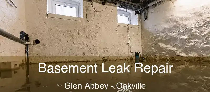 Basement Leak Repair Glen Abbey - Oakville