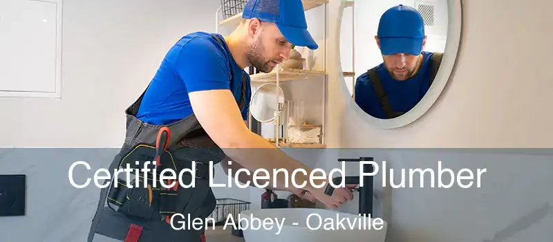  Certified Licenced Plumber Glen Abbey - Oakville