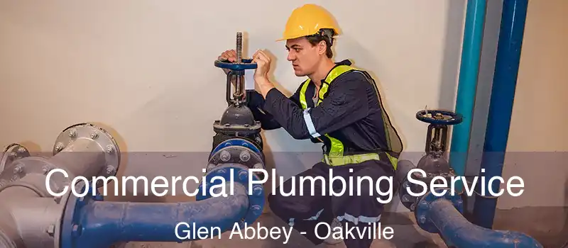  Commercial Plumbing Service Glen Abbey - Oakville
