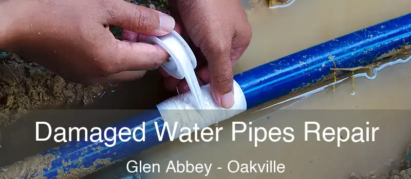 Damaged Water Pipes Repair Glen Abbey - Oakville