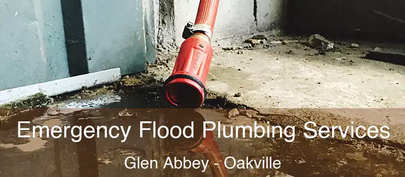 Emergency Flood Plumbing Services Glen Abbey - Oakville