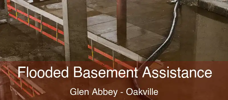  Flooded Basement Assistance Glen Abbey - Oakville