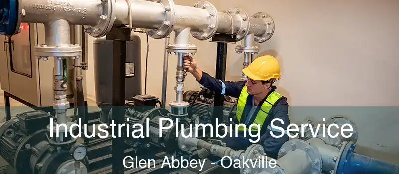Industrial Plumbing Service Glen Abbey - Oakville