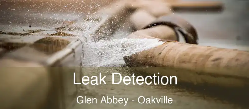  Leak Detection Glen Abbey - Oakville