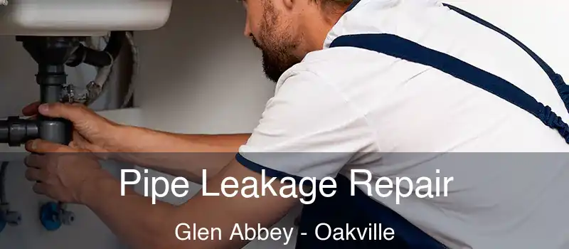 Pipe Leakage Repair Glen Abbey - Oakville