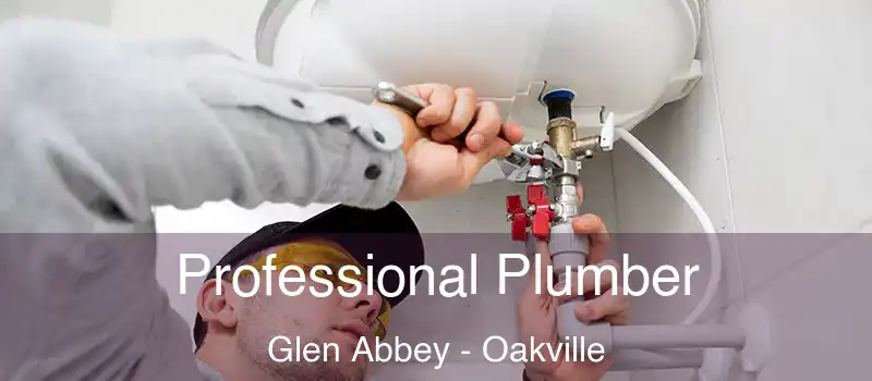  Professional Plumber Glen Abbey - Oakville