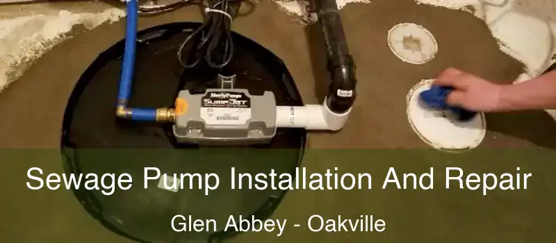 Sewage Pump Installation And Repair Glen Abbey - Oakville