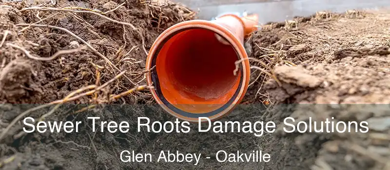 Sewer Tree Roots Damage Solutions Glen Abbey - Oakville
