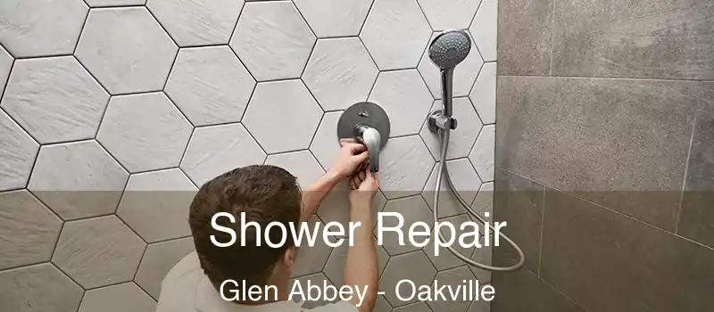  Shower Repair Glen Abbey - Oakville