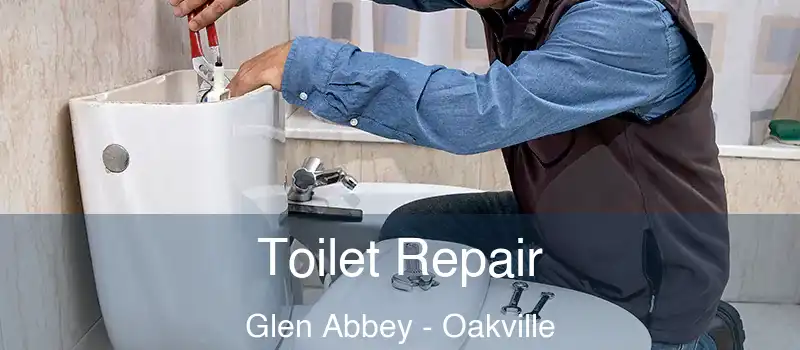 Toilet Repair Glen Abbey - Oakville