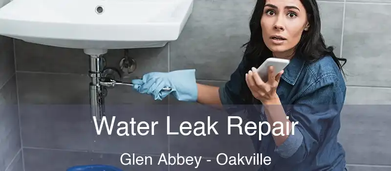  Water Leak Repair Glen Abbey - Oakville