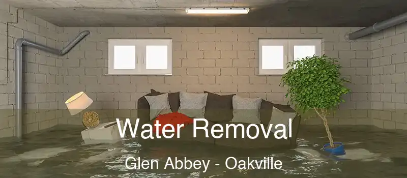Water Removal Glen Abbey - Oakville